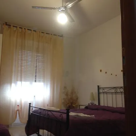 Bed & Breakfast The Sunflower Pisa